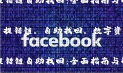 :TP钱包提错链自助找回：全面指南与解决方案关