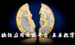 深入探索区块链应用开发平台：未来数字经济的
