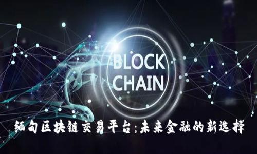 缅甸区块链交易平台：未来金融的新选择