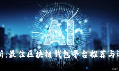 全面解析：最佳区块链钱包平台推荐与选择指南