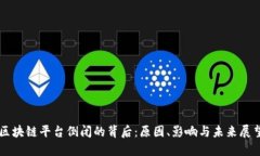 区块链平台倒闭的背后：原因、影响与未来展望